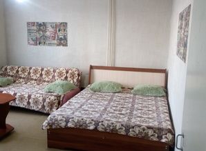 Однокомнатная Wi-FI квартира посуточно Павловского 21, Новокузнецк