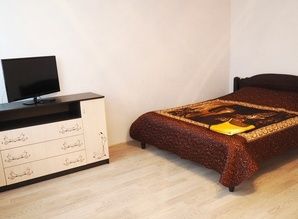 Daily Dobrolyubova 32 A apartment daily Dobrolyubova 32 A, Pushkino