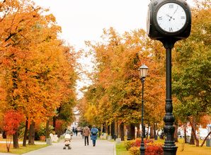 Посуточно Верхняя Масловка 6 квартира посуточно Верхняя Масловка 6, Москва