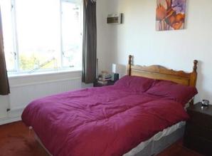 apartment daily Lenina pr-kt, 29/1, Nizhny Novgorod