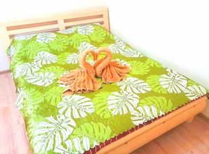 apartment daily Bulvar Lesi Ukrainki 16, Kyiv