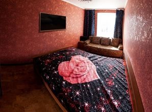 Трехкомнатная чистая квартира в центре квартира посуточно Максима Горького, 59, Тюмень