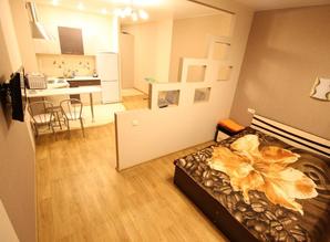 1 bedroom apartment at the railway apartment daily CHelyuskincev 23, Yekaterinburg