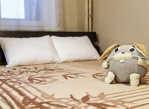 квартира посуточно Трудовая, 56/1, Иркутск