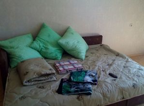 Apartment near the metro station Domoded apartment daily Voronezhskaya d.5, Moscow