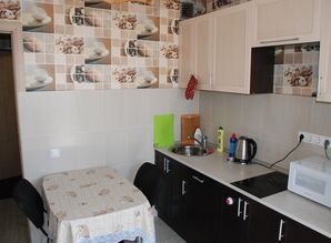 Rent 1-to. sq. m. Shchelkovo Daily Host apartment daily Centralnaya 71k2, Shchyolkovo