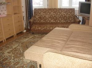 Rent 1-room. apartment for rent HOST apartment daily Centralnaya 71k2, Shchyolkovo