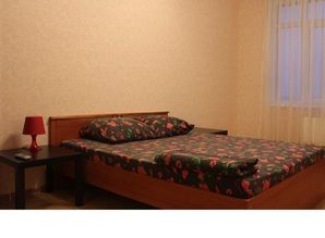 квартира посуточно пр. Ленина, 65, Нижний Новгород