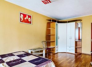 Бюджетна євро квартира на пр.Кірова 43 подобово Дніпро (Дніпропетровськ) Пр.Александра Поля 44