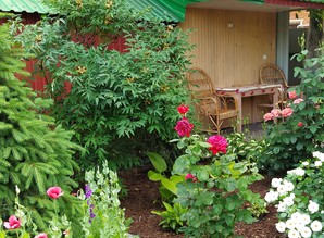 дiм подобово Миргород провулок Дачний, 5