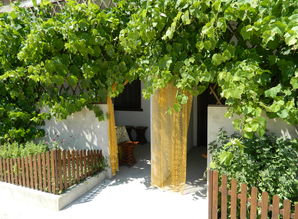 Мини-пансионат 'ФРЕГАТ' мини-отель посуточно с. Счастливцево ул. Гагарина 107, Геническ