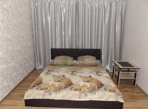 apartment daily Str.Mira 21, Vladimir