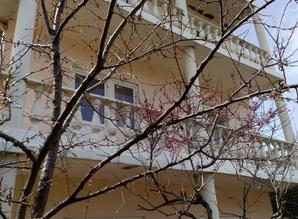 Guest House  rooms daily ST Fiolent 202, Sevastopol