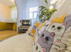 daire günlük  Sofievskaya 4, Kyiv