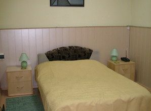 Rent 1k apartment center for daily rent daily Dnipro (Dnipropetrovsk) Knyazya Vladimira Velikogo 40