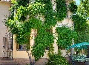 ev günlük  Kommunstroy, 1811, Carolino Bugaz