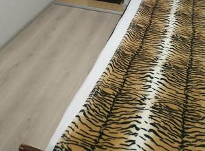 I am looking for an apartment for rent in the center of Odessa apartment daily Bazarna 46, Odessa