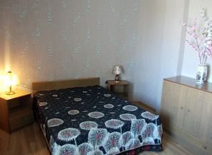 квартира посуточно ул. Урицкого, д. 157, Воронеж