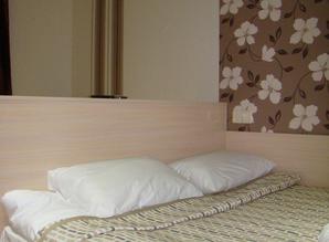 Голосеевский мини-отель посуточно Голосеевский пер.5, Киев