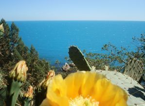 apartment daily Str.Kiparisnaya 33a, Yalta