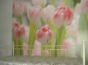 apartment daily YAlta Kastropol ul,Kiparisnaya 33b, Yalta