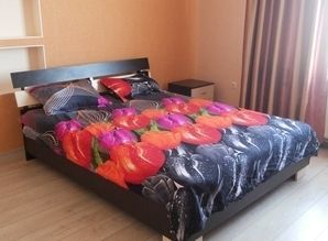 Своя квартира в центре ж/к Александровск квартира посуточно Пантелеймоновская 112, Одесса