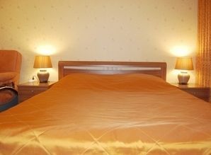 I rent an apartment business class apartment daily Belinskogo, 36, Nizhny Novgorod