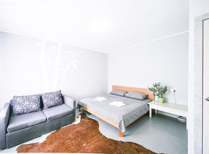 apartment daily Volodimirska, 89, Kyiv