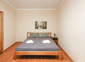 Rent 1k apartment on st. Hospital 2 apartment daily Gospіtalnij 2, Kyiv