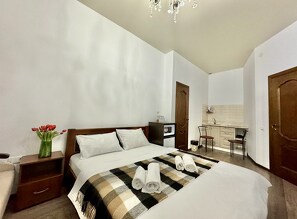 Оренда 1к квартири у центрі Києва квартира посуточно Антоновича 93, Киев