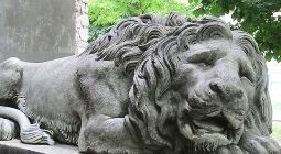 Найти льва во Львове. Топ 10 львов Найти льва во Львове. Топ 10 львов