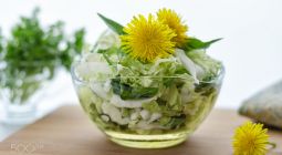 Кафе и рестораны для вегетарианцев в Киеве Кафе и рестораны для вегетарианцев в Киеве